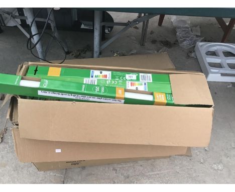 A LARGE QUANTITY OF STRIP LIGHT BULBS 