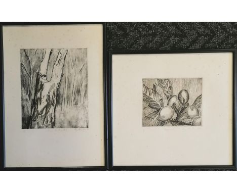 2 x framed Fay Foster engravings - 1981 Tree Portrait I (#2/10) &amp; 1982 Loquats (#2/5) - largest frame 36.5cm x 26cm &amp;