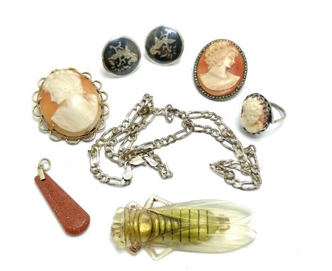 Qty of jewellery ~ cicada brooch (5.5cm), silver 44cm neckchain, hand carved cameo 2 brooches (1 800 silver &amp; rolled gold