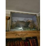 Antique Taxidermy glass cased badger 70 x 47 x 24cm