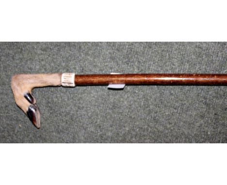 Animal footed handled walking stick 