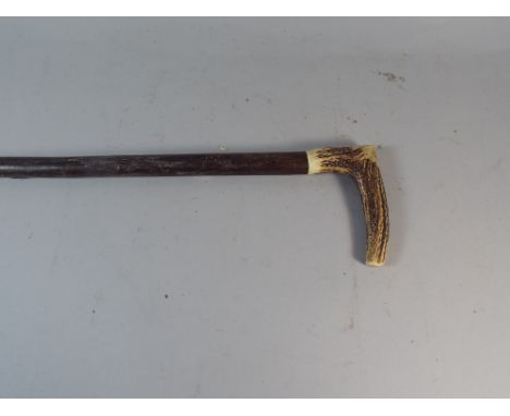 A Bone Handled Thorn Wood Walking Stick, 90cm Long 