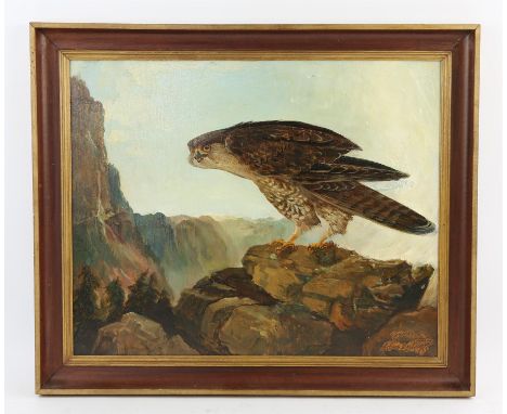 Ashton Booth (British b.1925), Gyrfalcon, Norway, oil on board, signed lower right, 37 x 45cm.: together with a further work 