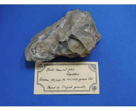 A Paleolithic flint tranchet axe, 50,000-1000,000 years old, found in Oxford gravels