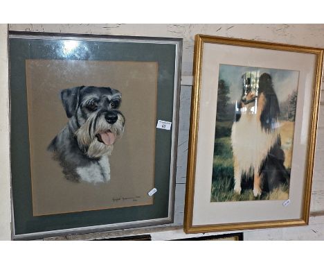 Pastel portrait of a bearded terrier by Margaret Anderson, and a colour print of a collie