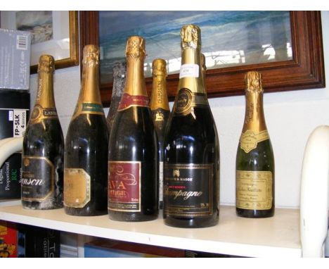 Nine bottles of sparkling wine 