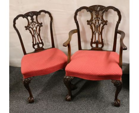 Set of eight (6+2) Edwardian chippendale style dining chairs raised on ball and claw feet.