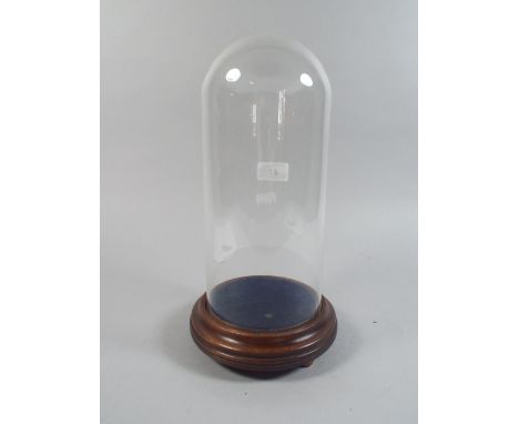 A Glass Taxidermy or Clock Dome on Circular Plinth .