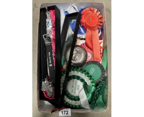 A tray of horse prize rosettes &amp; a horse themed snuff box