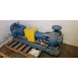 Skid of Crown Zellerbach Motor/Pump Assembly, M-4895, Motor: 230/460V, 3-Phase, 1740 RPM, Fr: 284T;