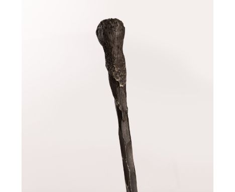 Original wand prop as seen used by Rupert Grint as "Ron Weasley" in Harry Potter and the Order of the Phoenix.  Now in his fi