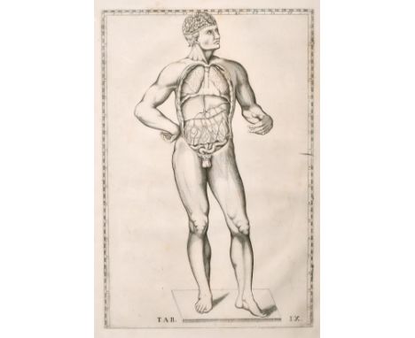 Human anatomy from Eustachios Tabulae anatomy (circa. 1714), print, 11" x 7".