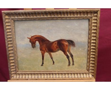 Attributed to George Rowe, 19th century oil sketch on panel - a bay stallion Satan, inscribed verso, in gilt frame, 29.5cm x 