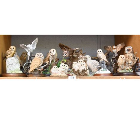 Border Fine Arts Owl Groups, including ''Tawny Owl'' model No. A4054 by Russell Willis, barn owl family and various others, i