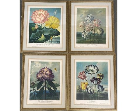 Interior design interest: A set of four reproduction botanical prints, Caldwall after Henderson: tulips, a group of carnation