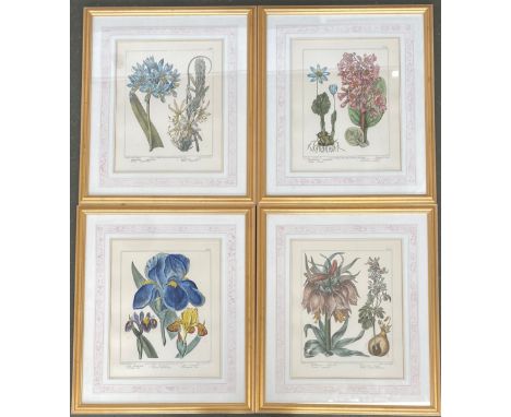Interior design interest: After Francis Sansom (1780-1815), a set of four hand coloured reproduction botanical engravings, 38