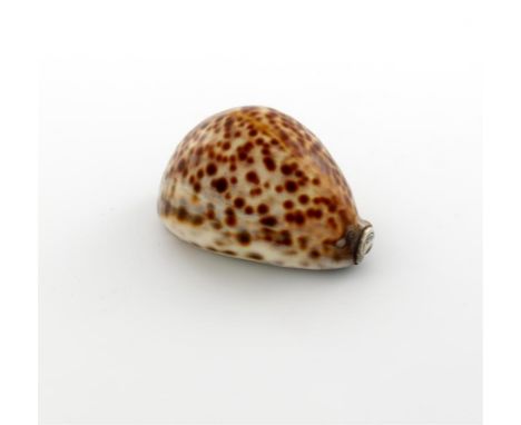 An early 19th century silver-mounted cowrie shell snuff box, unmarked circa 1800-1820, the hinged cover mounted with shell, p