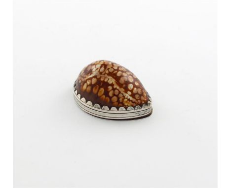 A George III silver-mounted cowrie shell snuff box, by Joseph Willmore, Birmingham 1810, plain mounts, the flush-hinged cover