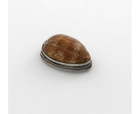 A George III silver-mounted cowrie shell snuff box, by Phipps and Robinson, Birmingham 1807 plain mounts, the hinged cover wi