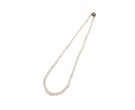 A NATURAL PEARL NECKLACE  The single strand of graduated pearls, measuring approximately 3.4 to 9.0mm, to a pearl and rose cu