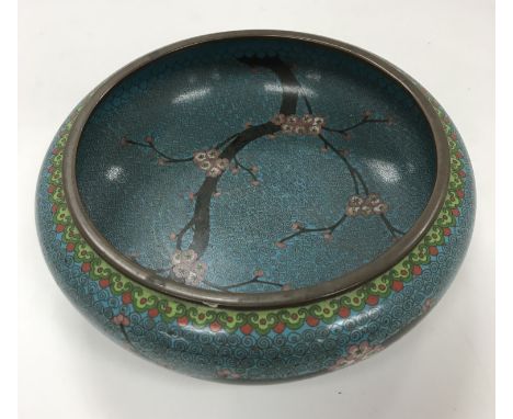 A Chinese turquoise ground cloisonné shallow bowl decorated with branches of prunus blossom raised on a circular foot 20.5 cm
