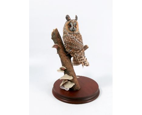 A Border Fine Arts model, Long Eared Owl, RB20Condition Report:  Inspected and no issues found