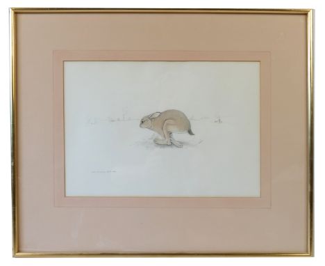 Robin Armstrong, pencil sketch, hare, 9.5ins x 13.5ins&nbsp;(D)