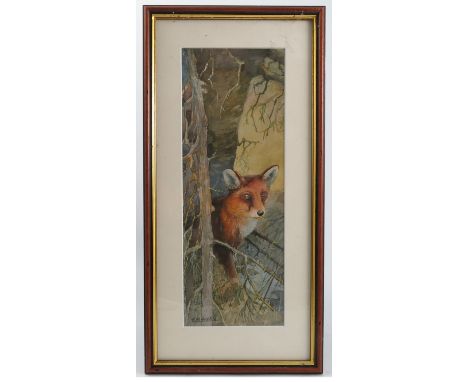 R H Austin, watercolour, Fox, 13ins x 4.75ins