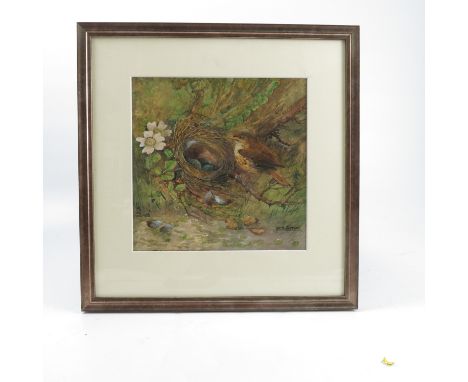 R H Austin, watercolour, Thrushes nest and eggs, 8.5ins x 8.5ins