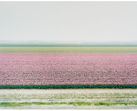 Thomas Flechtner (American, b. 1961). Chromogenic print (C-Print) on aluminum photograph titled "Site 3" depicting an expansi