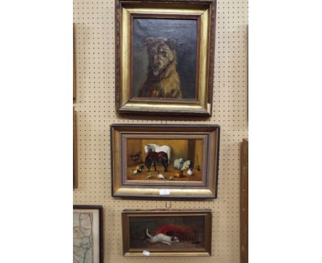 Three oil studies of animals comprising terrier in barn scene, sheep and chickens in stable scene and an early 19thC portrait