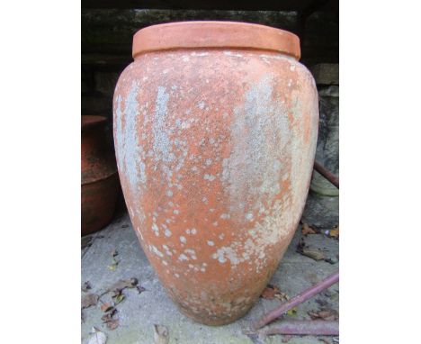 A weathered contemporary terracotta oviform vase shaped planter with moulded ring collar
