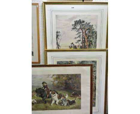 B W Leader (19th century British school) - "Evening Light" and "Amongst the Surrey Pine Trees (2) coloured engravings, 72 x 5