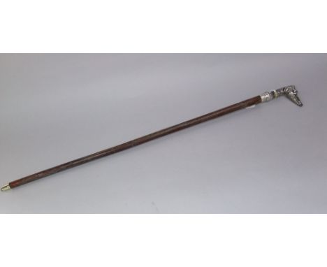 Silver collared walking stick with cast metal greyhound handle