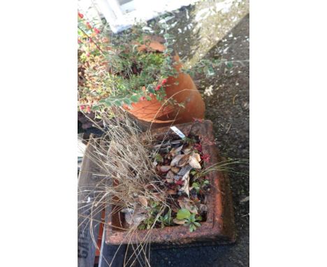A terracotta tube form planter and a square planter
