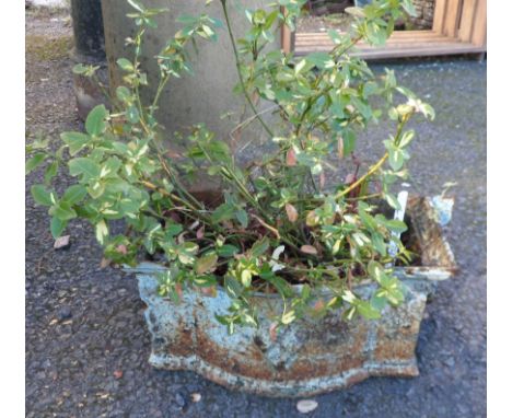 A cast iron planted hopper