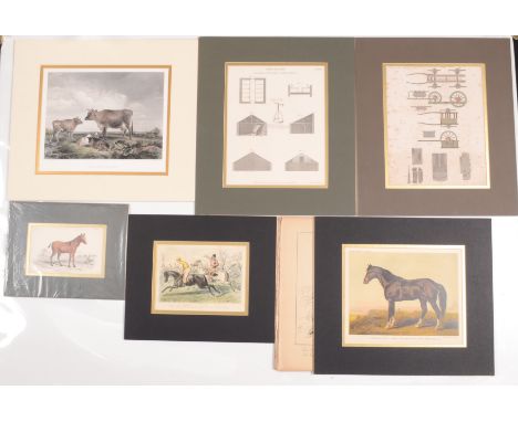 A collection of prints and engravings related to agriculture, hunting and horses, approximately 100 pieces.