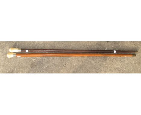 A malacca walking cane with an ivory handle and plated mount, length 89.5cm together with a similar hardwood stick.