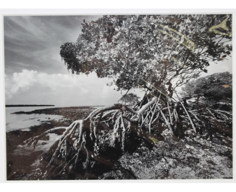 Clyde Butcher (Florida, b. 1941) Tri-Tone Offset Print Photo. Titled "Indian Key Pass #3" and dated 1995. Stamp signature low