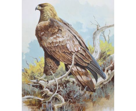 John Swatsley (American, B. 1937) "Golden Eagle" Signed lower right. Oil on Illustration Board. Provenance: Collection of Jam