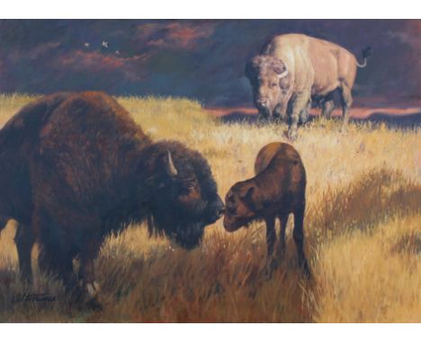 Shannon Stirnweis (B. 1931) "Bison" Signed lower left. Original Oil on Illustration Board painting. Original Fleetwood First 