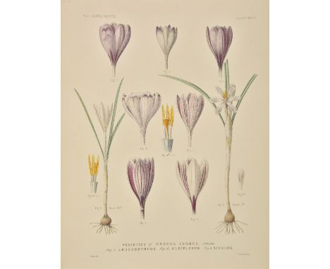 [Maw, George] [A Monograph of the Genus Crocus, 1886],  plate volume only, 81 hand-coloured lithographed plates (plate 17 not