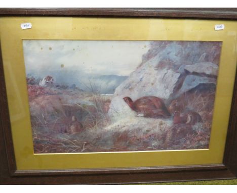 Framed and mounted under glass vintage gun dog print signed A Thorburn 1894.  Housed in old oak frame it measures 29 x 21 inc
