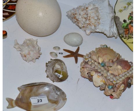 Natural History - an ostrich egg;  a large drill shell;  another, smaller;  a trinket box decorated with shells;  a starfish;