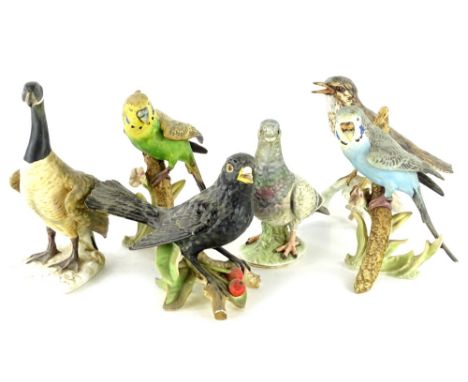 A collection of Goebel birds, to include budgerigars, pigeon etc., some pieces AF.