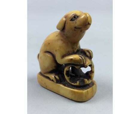 JAPANESE IVORY NETSUKE,Meiji period, depicting a dog, signed, 3.8cm high