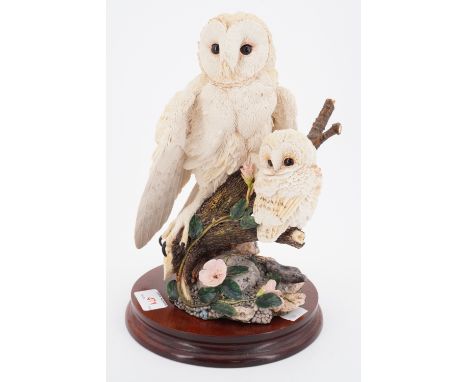 A Chiltern barn owl and chick, WB71