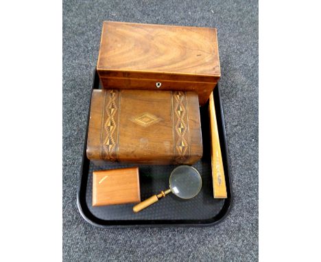 A tray containing Victorian inlaid walnut trinket box, Victorian mahogany caddy, magnifying glass, hand fan 