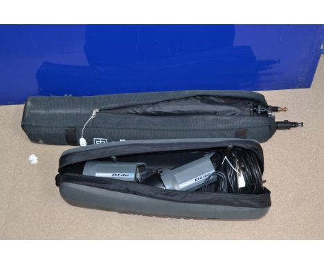 Two Elinchrom D Lite 2 Flash Heads, untested, bodies G, with power cables, sync cable and two light stands, in Elinchrom carr