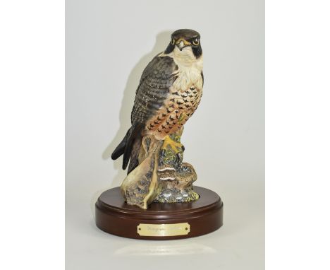 Royal Doulton - Ltd and Numbered Edition Bird Figure ' Peregrine Falcon ' HN3541. Num 2110 of 2500. Designer Graham Tongue. I